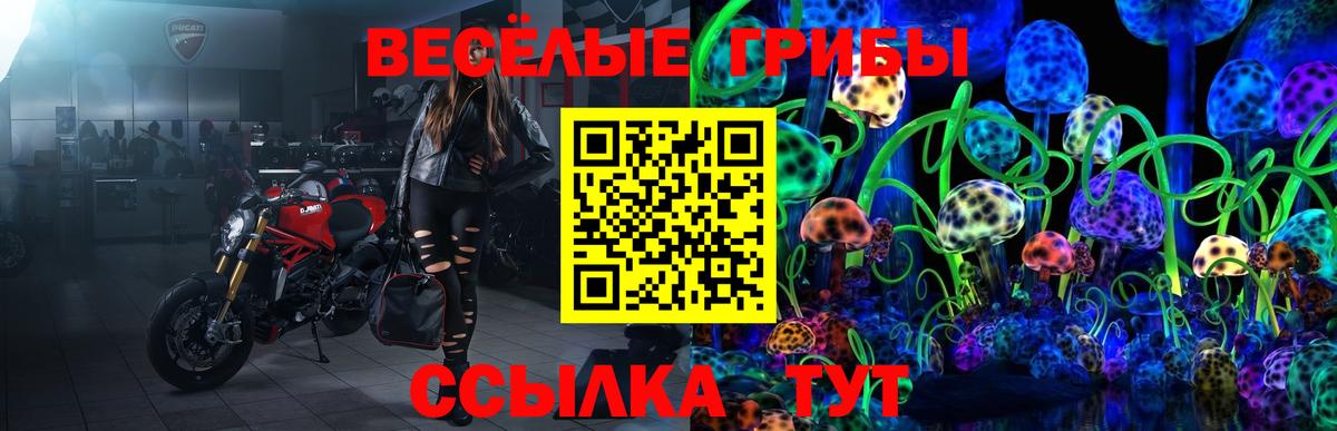 Ирбит  Псилоцибиновые грибы мицелий  Вход с VPN 
